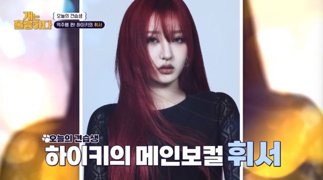 iMBC 연예뉴스 사진