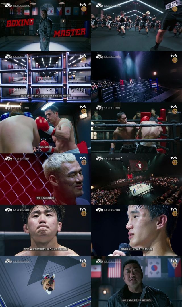 iMBC 연예뉴스 사진