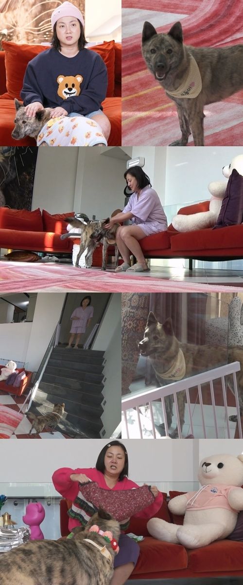 iMBC 연예뉴스 사진