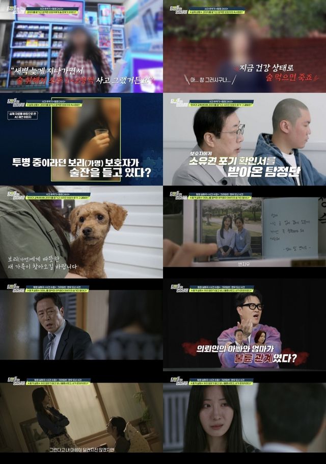 iMBC 연예뉴스 사진