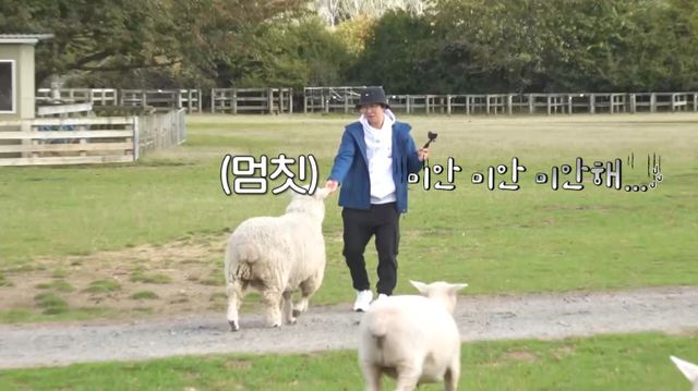 iMBC 연예뉴스 사진