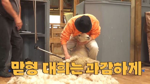 iMBC 연예뉴스 사진