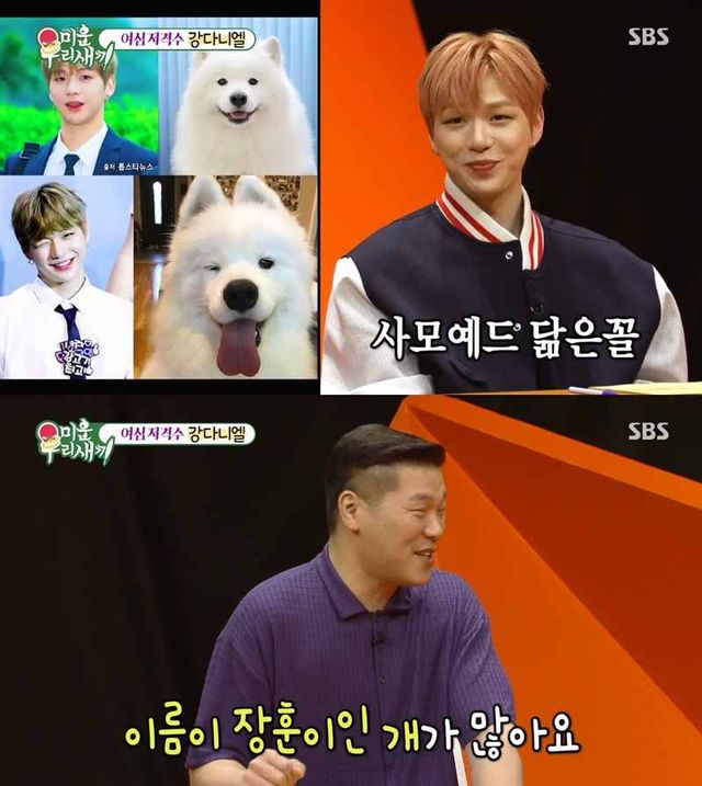 iMBC 연예뉴스 사진