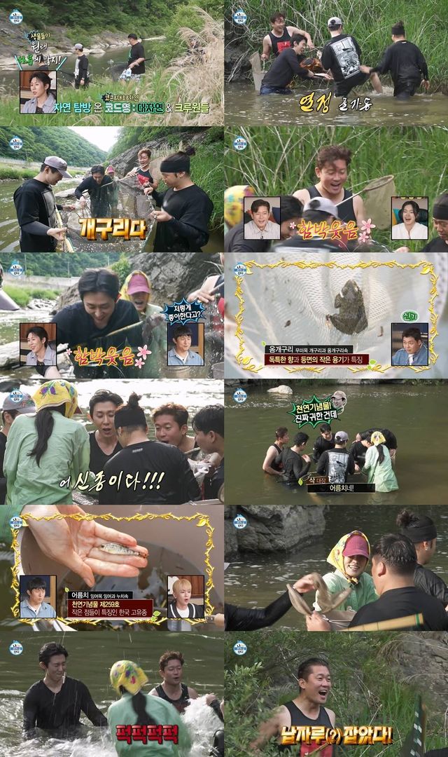 iMBC 연예뉴스 사진