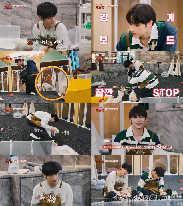 iMBC 연예뉴스 사진