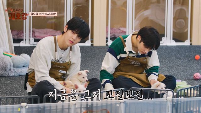 iMBC 연예뉴스 사진