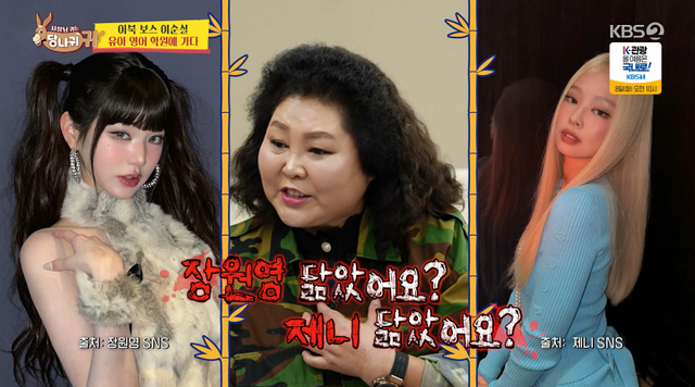 iMBC 연예뉴스 사진