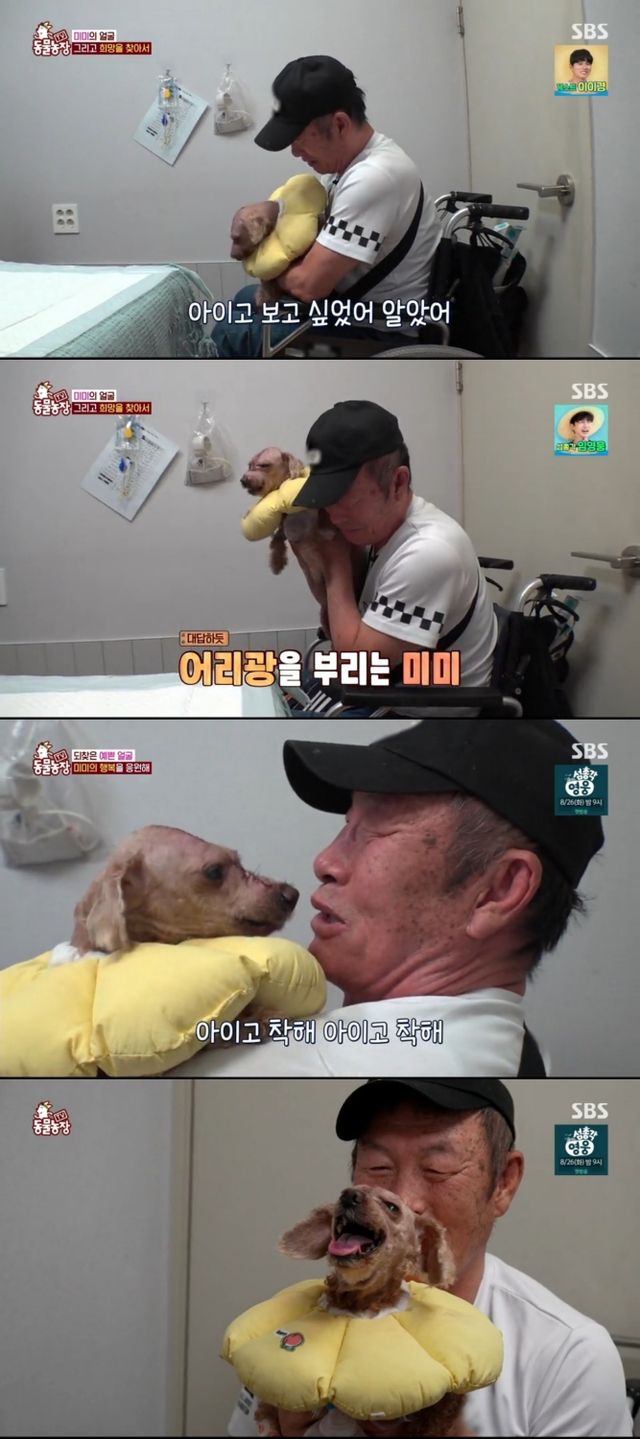 iMBC 연예뉴스 사진