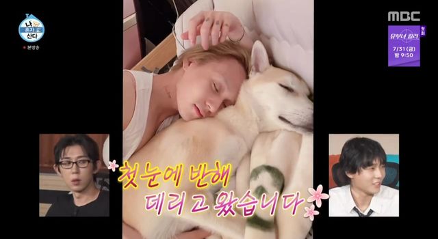iMBC 연예뉴스 사진