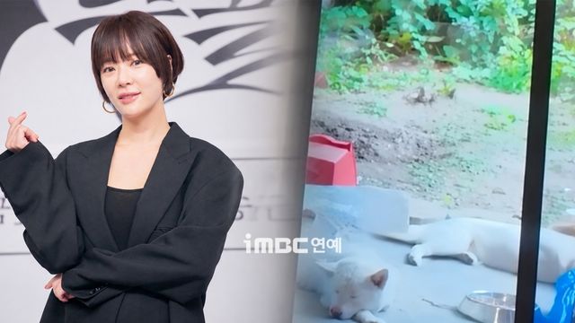 iMBC 연예뉴스 사진
