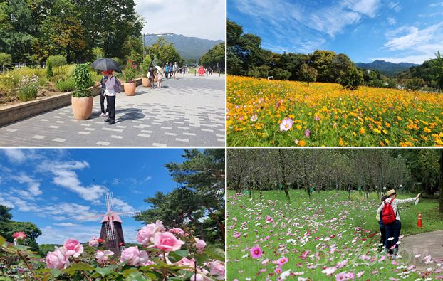 사진출처=서울시