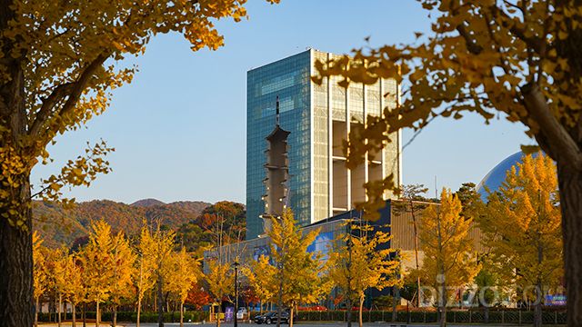 경주엑스포대공원 가을 경주타워