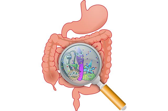 이미지 출처=픽사베이