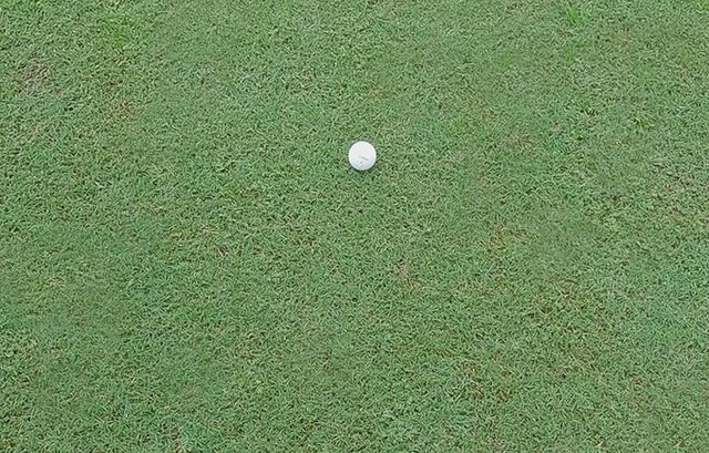 이스트우드 밸리GC의 페어웨이는 좋은 컨디션 상태를 유지하고 있다.