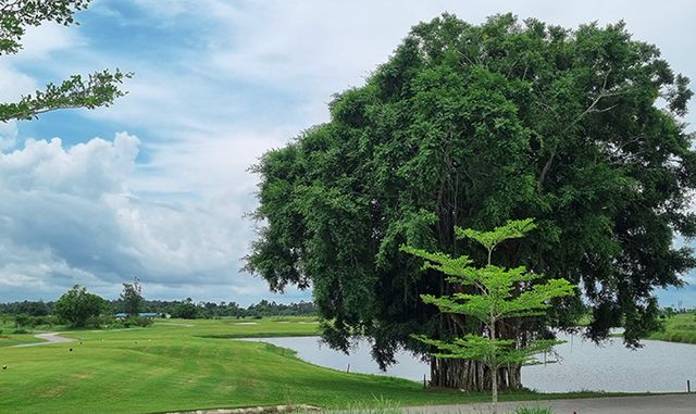 아름다운 조경의 이스트우드 밸리GC.
