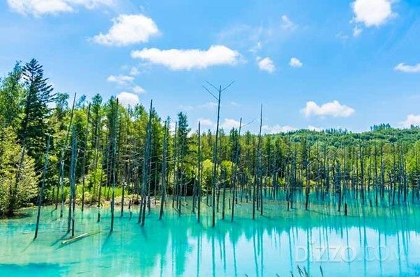 사진제공=라쿠텐 트래블