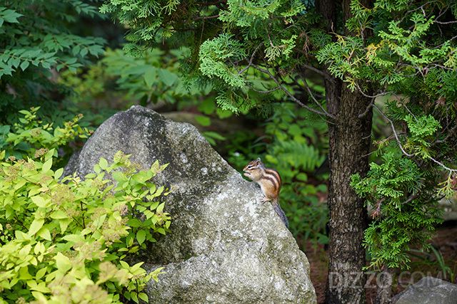 사진제공=한국관광공사
