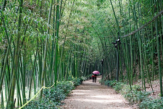사진제공=한국관광공사