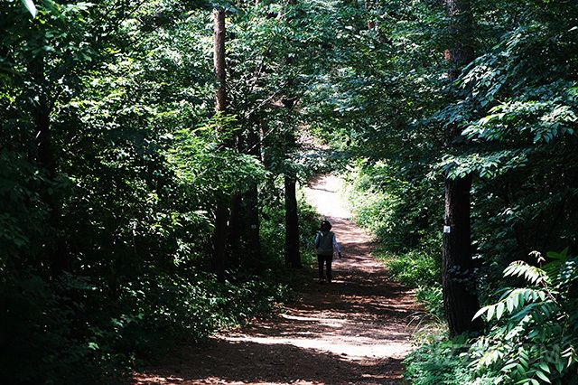 사진제공=한국관광공사