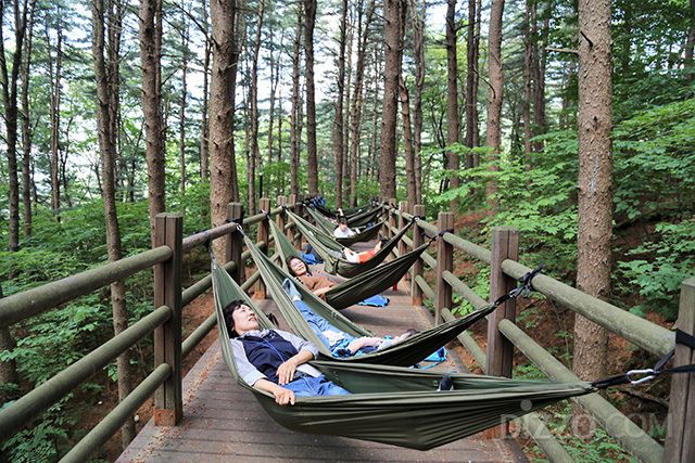 사진제공=한국관광공사