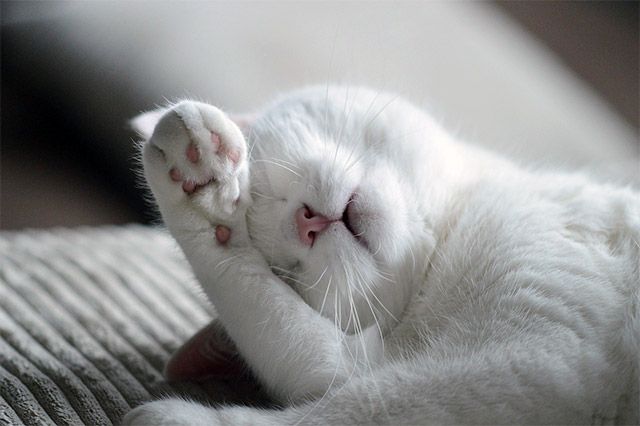 이미지 출처=픽사베이