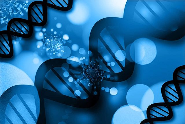 이미지 출처=픽사베이