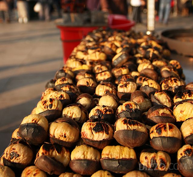 사진제공=튀르키예 문화관광부