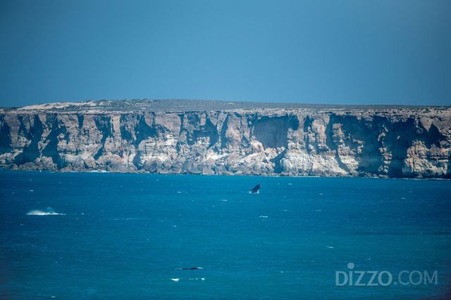 헤드 오브 바이트(사진출처=남호주 관광청)