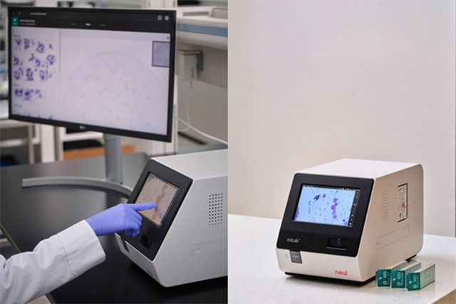 사진 제공=노을