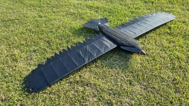 세이런 / 사진 제공=팔월삼일