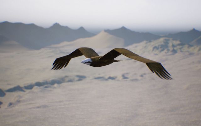 세이런 / 사진 제공=팔월삼일