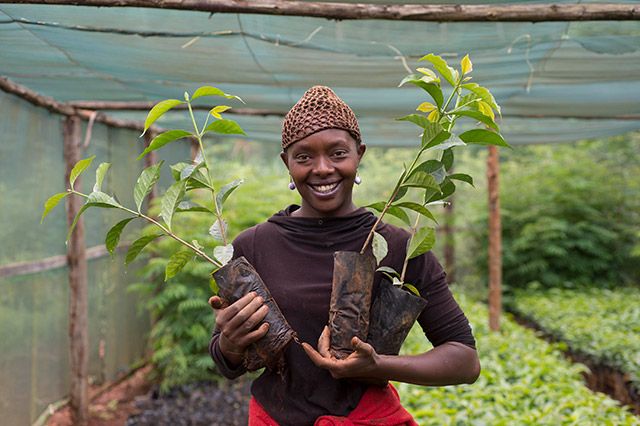 사진=네스카페 제공