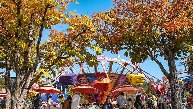 사진제공=서울랜드