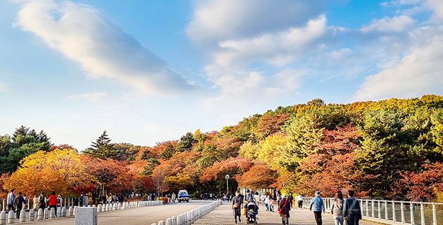 사진제공=서울랜드