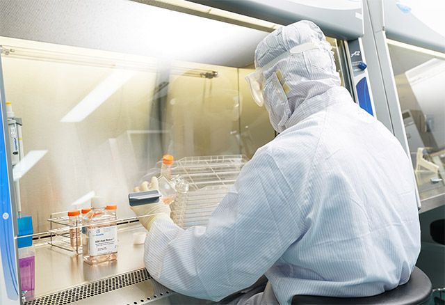 강스템바이오텍 줄기세포 GMP센터에서 줄기세포 배양 공정을 진행하고 있다. /사진 제공=강스템바이오텍