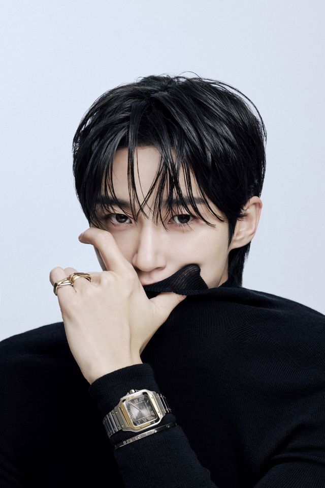 변우석, 까르띠에 앰버서더 합류 소감 "기쁘고 영광"