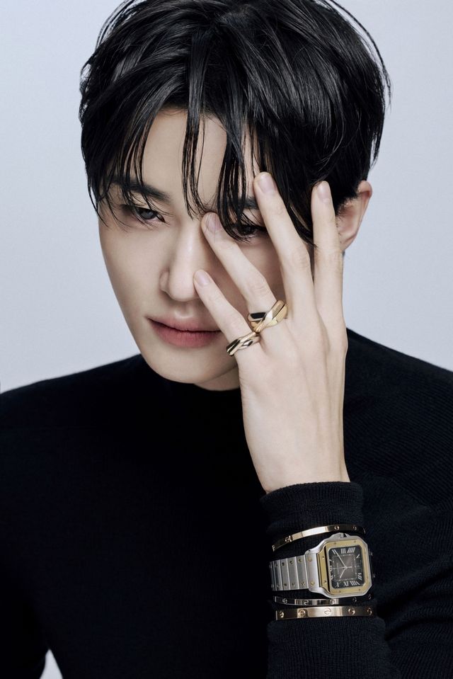 변우석, 까르띠에 앰버서더 합류 소감 "기쁘고 영광"