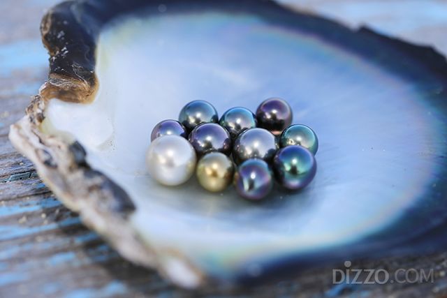 타히티 흑진주(사진제공=타히티 관광청)
