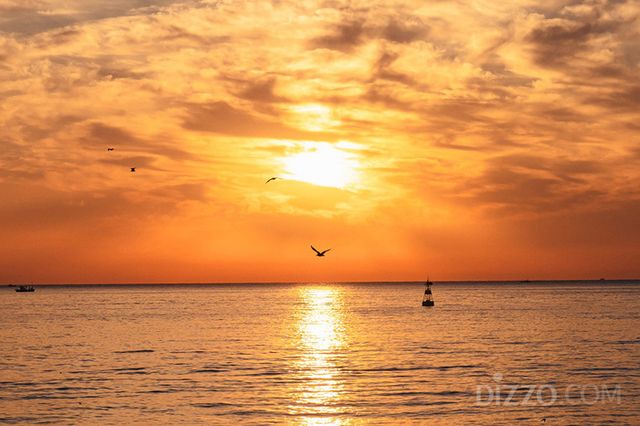 강원도부터 제주까지... 전국 일출 명소에 위치한 호텔·리조트 10곳