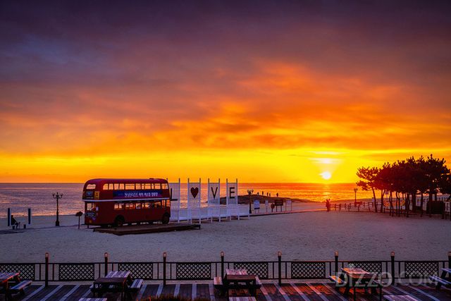 강원도부터 제주까지... 전국 일출 명소에 위치한 호텔·리조트 10곳