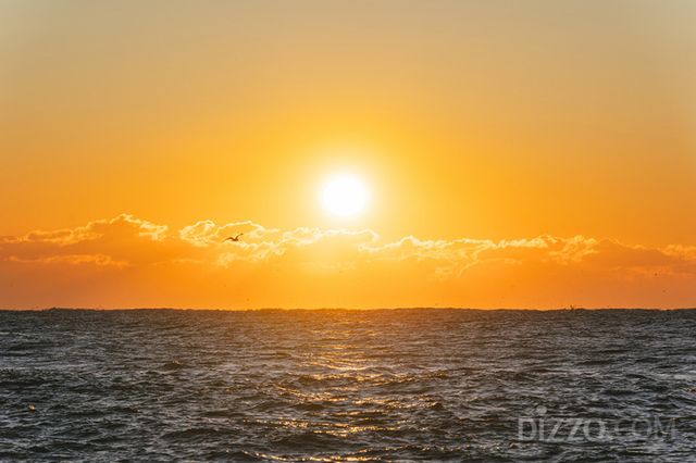 강원도부터 제주까지... 전국 일출 명소에 위치한 호텔·리조트 10곳