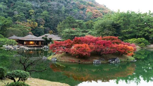 리츠린 공원. 고급 분재 스타일의 기묘한 모양을 가진 소나무가 곳곳에 있다.