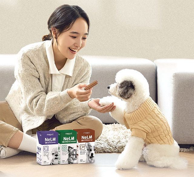 사진 제공=에이아이포펫