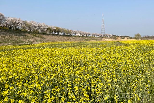 사진제공=한국관광공사