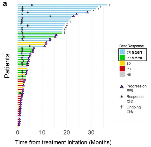 R2A요법의 객관적 반응률(ORR)은 54.5%로, 환자 66명 중 36명에서 치료 반응이 나타났다. 특히 21명(31.8%)은 완전관해(CR)를 획득했으며, 이들 중 다수가 종양 진행 없이 관해상태를 유지했다. /이미지 제공=서울대병원