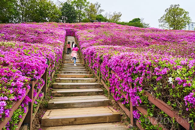 사진출처=경기관광공사