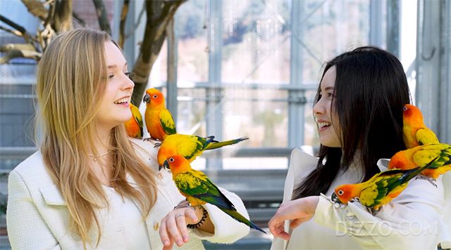 사진출처=경기관광공사