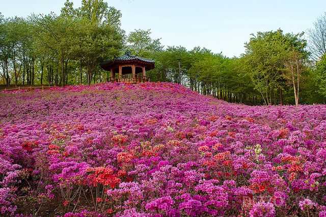 사진출처=경기관광공사