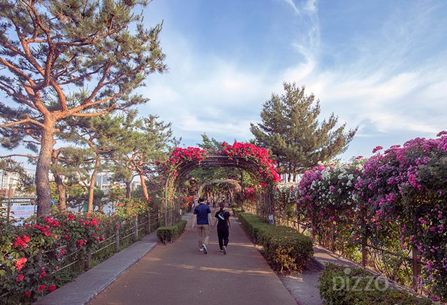 4코스 – 중랑장미공원 전경(사진제공=서울관광재단)