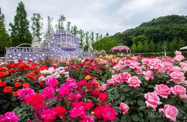 빅토리아가든에서 장미와 함께 바라보는 장미성(사진출처=삼성물산)